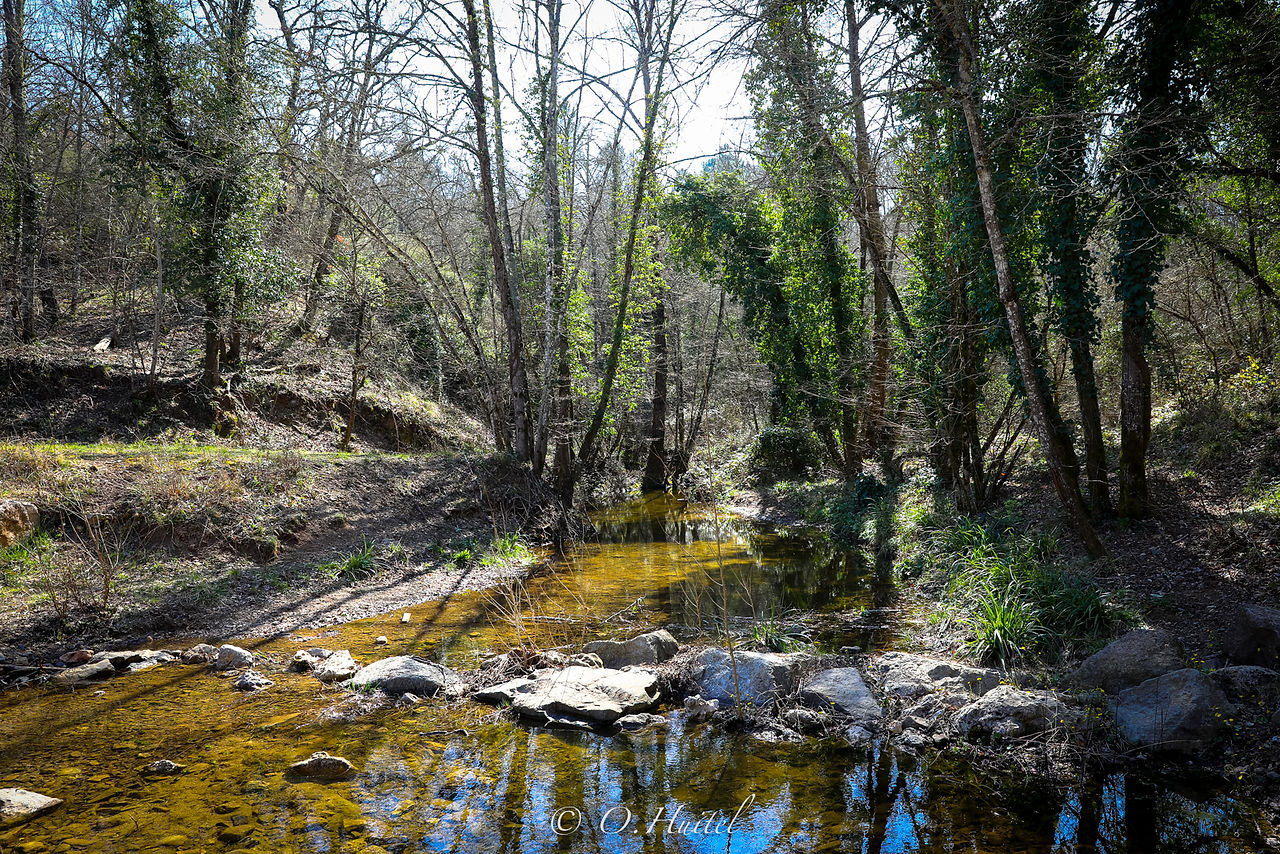 Le Lac de Saint Cassien. Photo © Olivier Huitel.