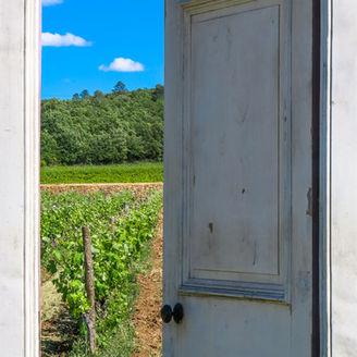 L’art du vin à Peyrassol