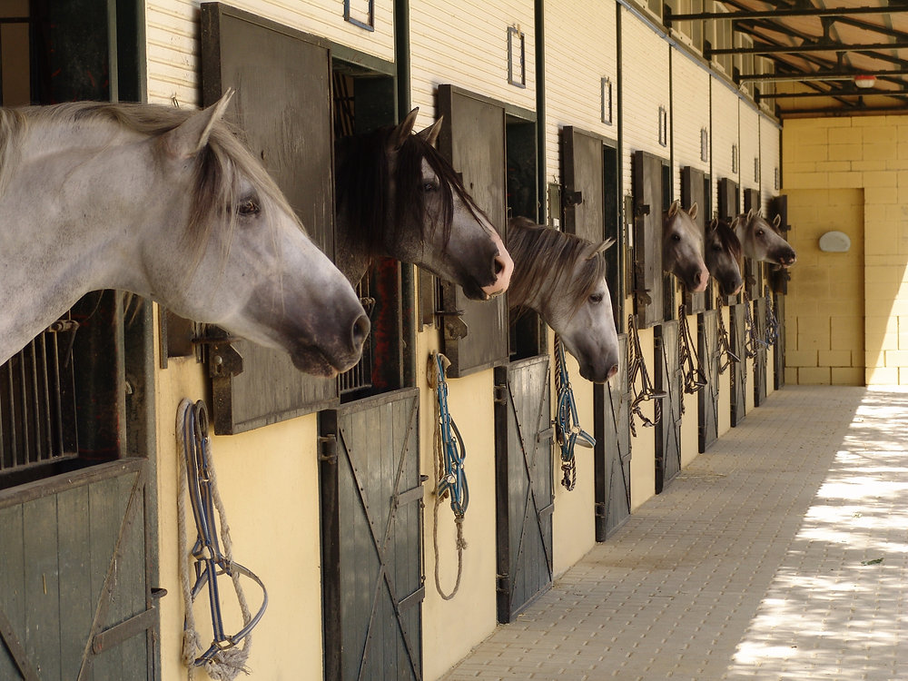 Stable Environment: This Is How You Do It (Part 3)