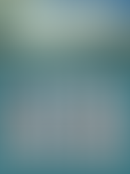 Eight New Providers Join Southeast Orthopedic Specialists