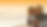 OCSF Homepage.png
