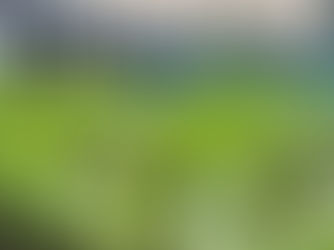 OVERVIEW OF AQUAPONICS TILAPIA IN RAS AQUACULTURE