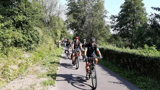 aktuelles derwolf bikes