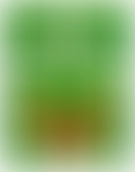 GREEN BEGINNINGS WORKBOOK