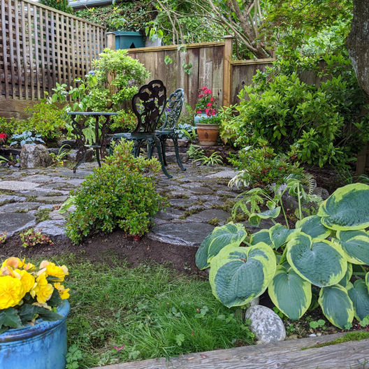 Landscaping#1 After.jpeg