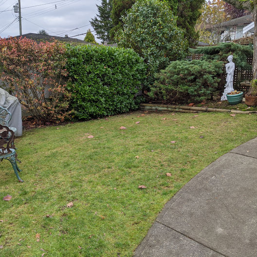Landscaping#2 Before.jpeg