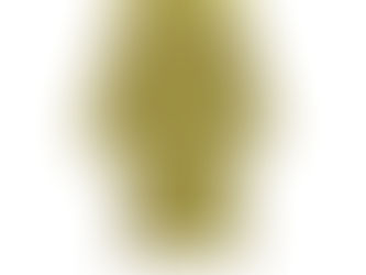 Introducing Gilda Sol: A Celestial Elegance Unveiled 🌟