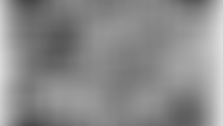 Data Drop! BAZI CODEX (.ZIP)