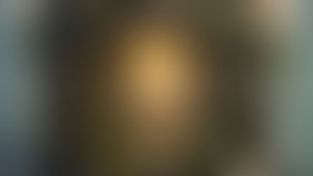 The Scaffolding of Privilege: A Blueprint for the Perceptive