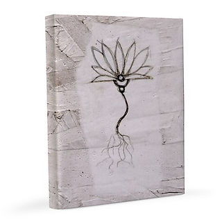 Simple Lotus White Papyrus
