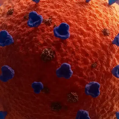 HPV e Pap Test: l’importanza dello screening per la prevenzione del tumore al collo dell’utero