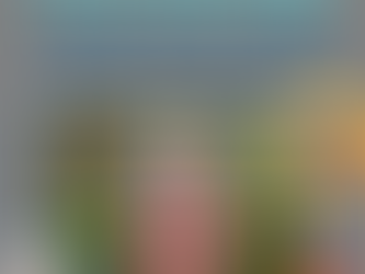 AMTA-NE Welcomes Holly Doring, LMT to our team