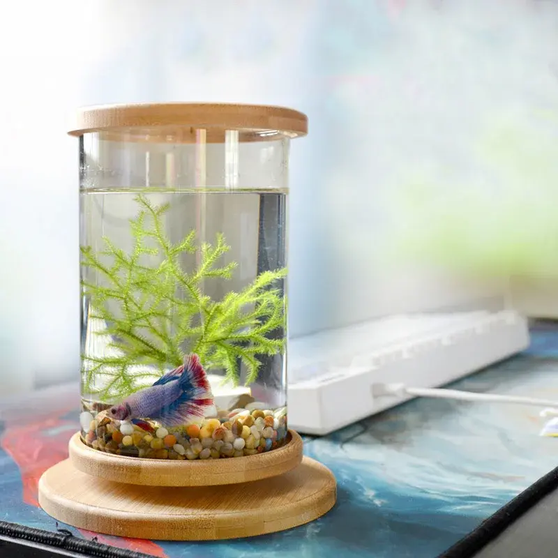 Thumbnail: Glass Betta Fish