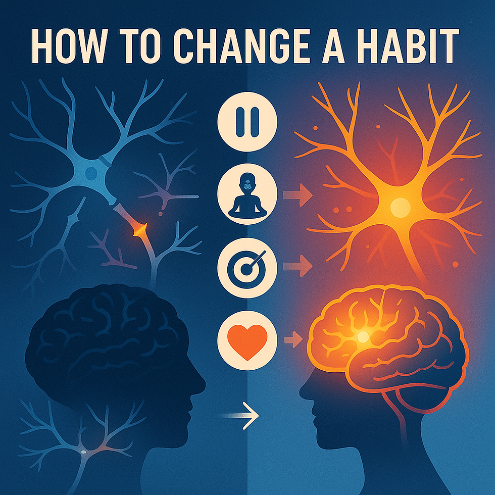 Neuroplasticidade e Reprogramação