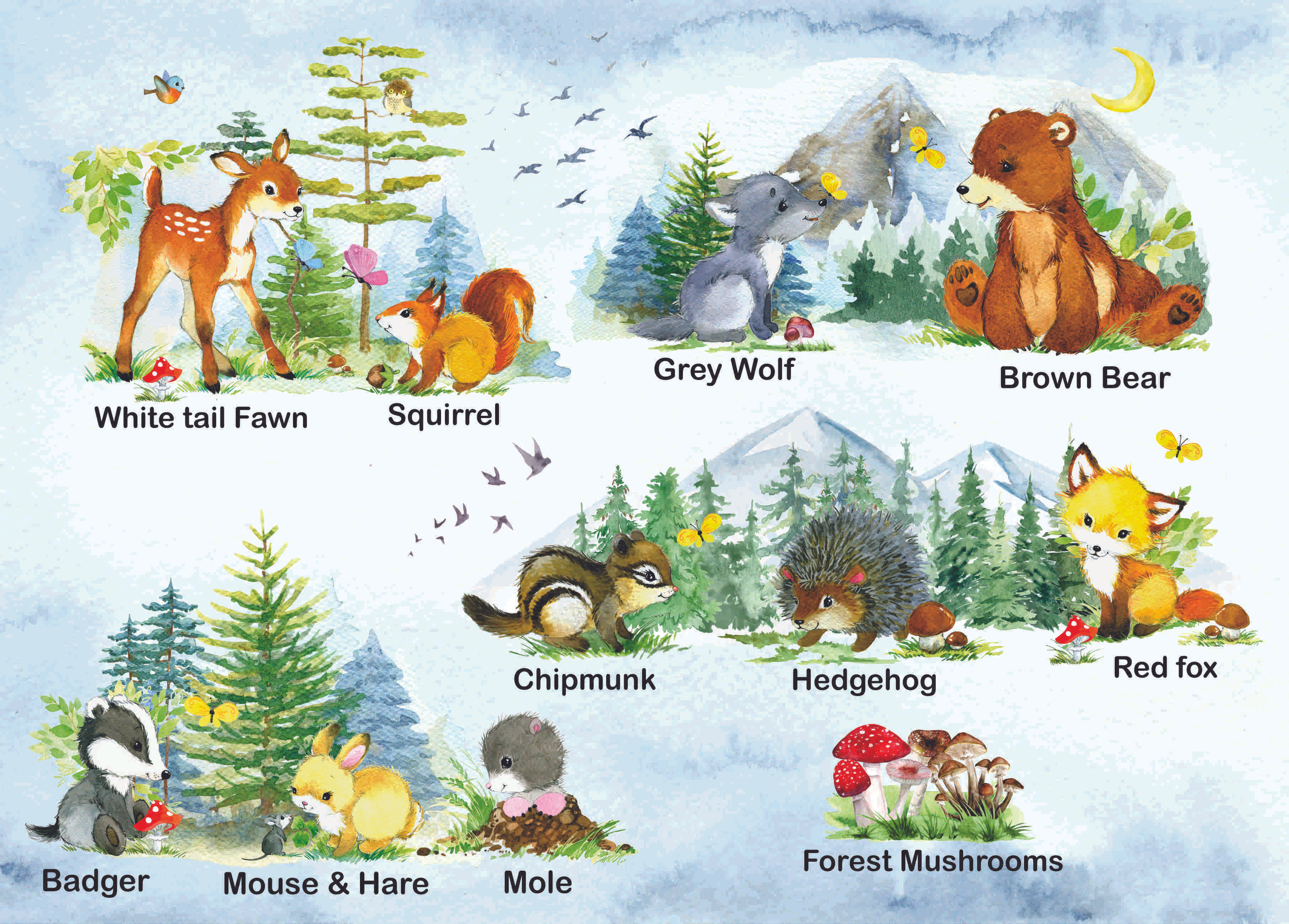 I Belong in the Forest 2