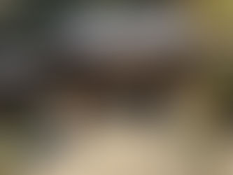 第4回 岡崎、清洲、松平郷、そして高天神城(2019年3月21-24日) 今回の山城:高天神城(静岡県)