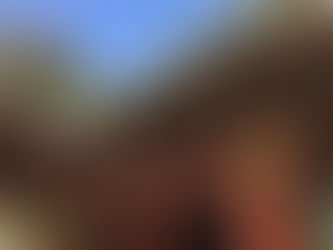 第1回 久能山東照宮、掛川城(2018年2月10日) 今回の山城 横須賀城(静岡県)