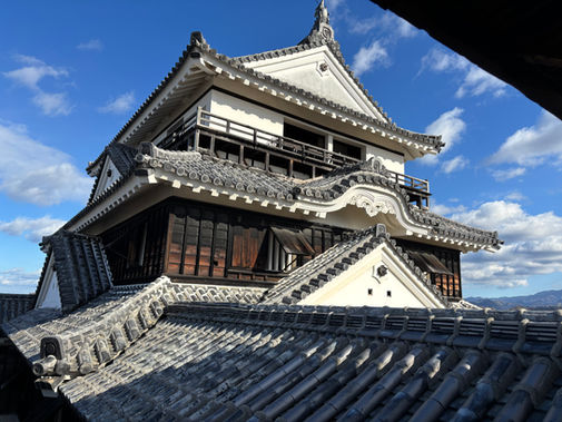 第13回 伊予国 松山城、そして坂の上の雲の故郷を巡る。(2024年12月13-15日)⛰️今回の山城:丸亀城(香川)•宇和島城•松山城(愛媛)