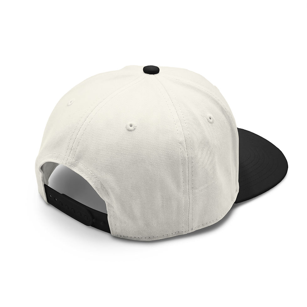 Thumbnail: Opportunity That Knocks Class two-tone cap - Izzy Produx