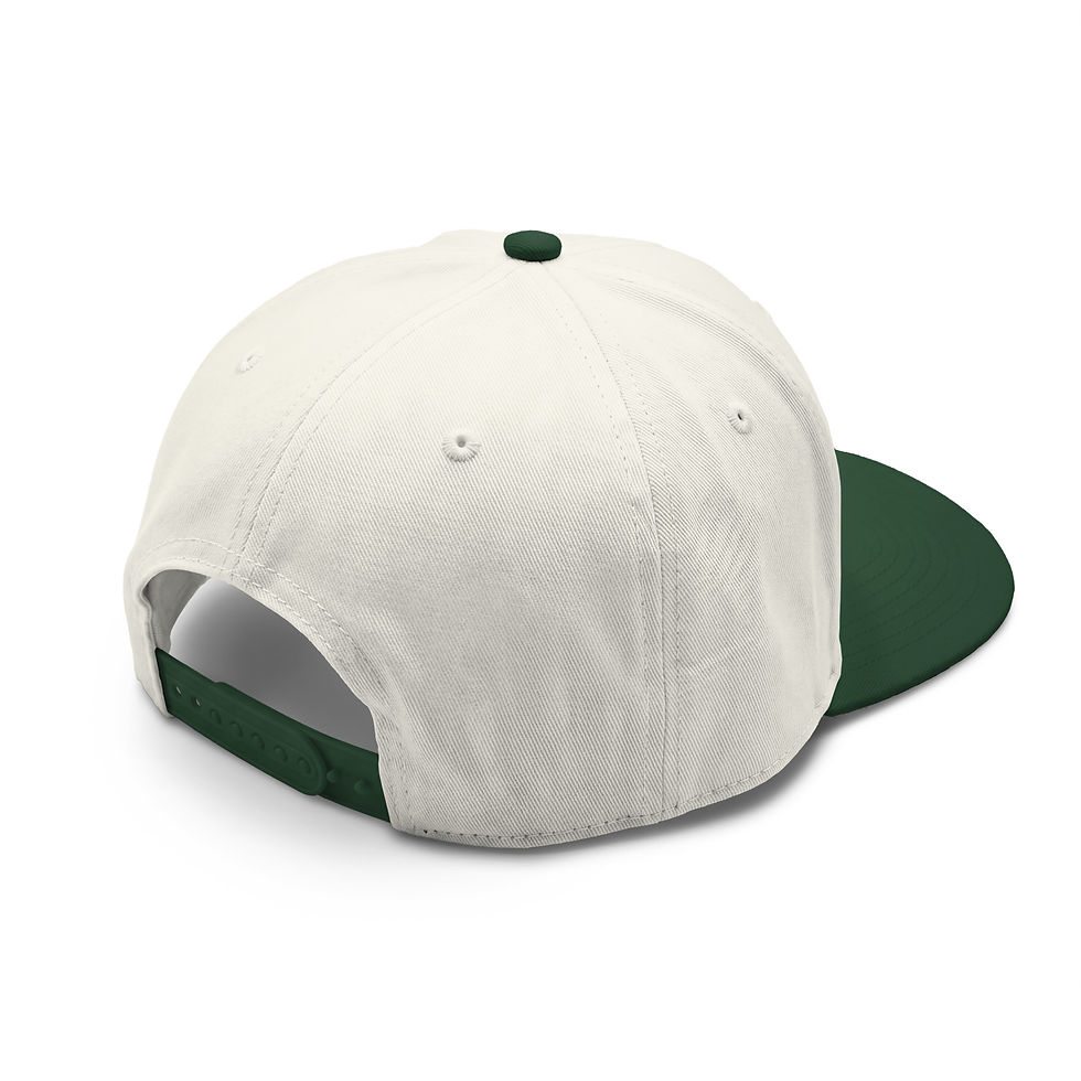Thumbnail: Opportunity That Knocks Class two-tone cap - Izzy Produx