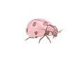Untitled design - 2025-08-24T131836.254.png