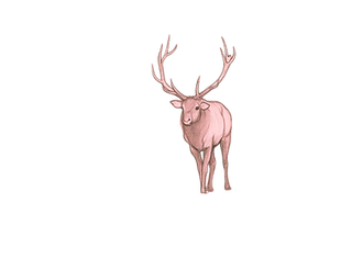 Untitled design (85).png