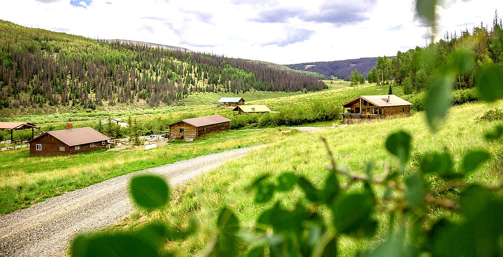 Oleo Ranch