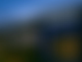 C-Suite Strategy and the Rise of Experiential Venues: Why Executives Are Betting Big on Modern Leisure Assets