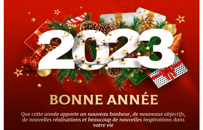 humour-nouvel-an-2023-bonne-annee-image.webp