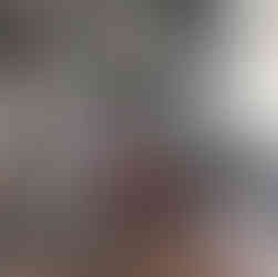 樹齢200年の大銀杏	