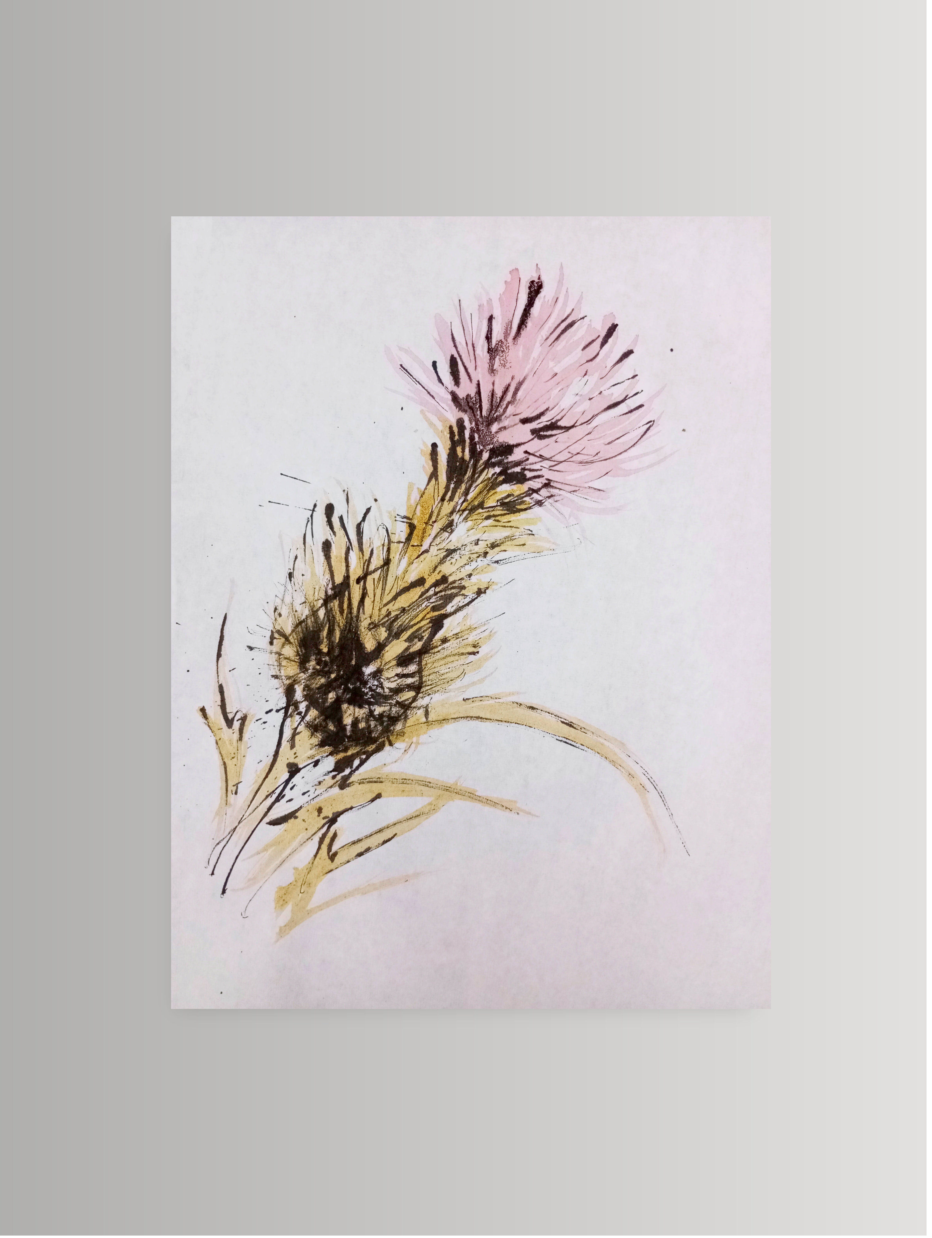 Thistle