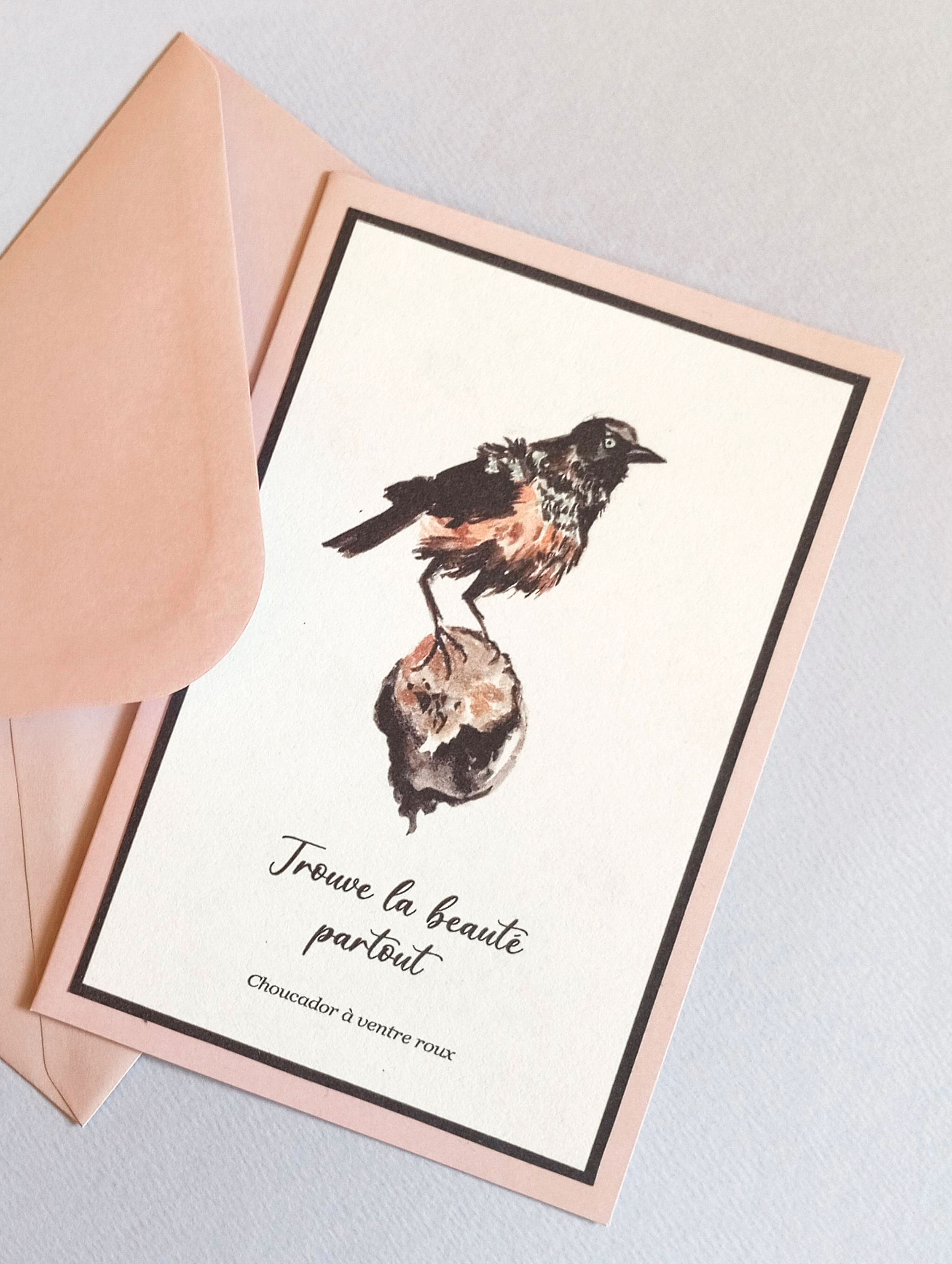 Chestnut bellied Starling