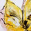 Miniature : Parrot Tulip