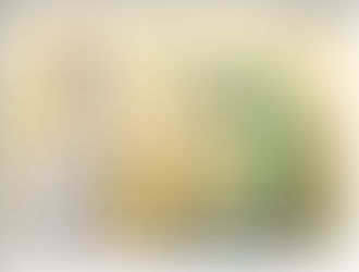 URGENT ACTION ALERT: BIDEN IS HOLDING UP AMMO TO ISRAEL - CONGRESS MUST STOP HIM: LET'S MAKE OUR VOICES HEARD