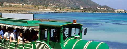 escursione-asinara-trenino-1-e1697625681627-600x635.jpg