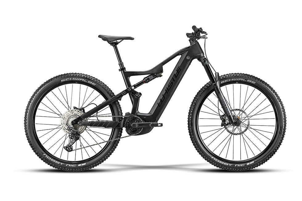 whistle-B-Rush-C3.4-Black-ebike-bosch