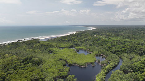 DJI_20260322130233_0058_D