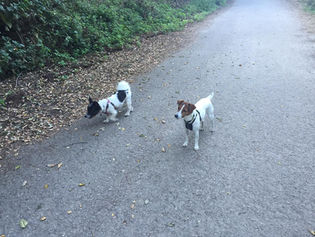 Review: Angie Hayward