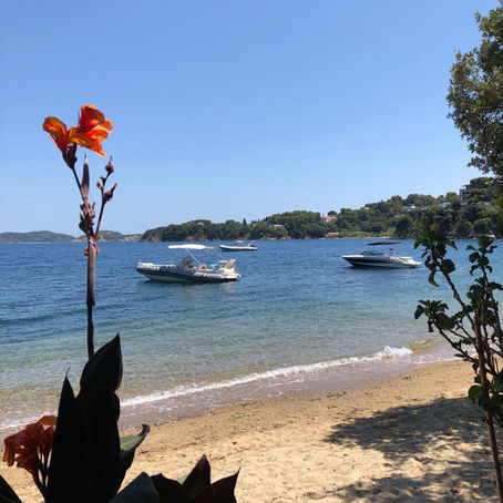 The beaches of Skiathos