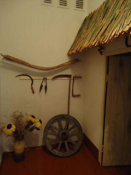 v_muzee_fragment_vhoda_v_hatu