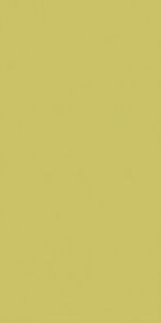 Lime Burst - LB
