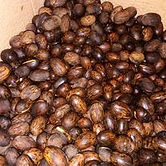 1. Fotos Ernesto Seed.jpg