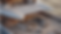 Screenshot 2026-03-15 at 4.19.40 PM.png