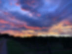 Vineyard Sunset2