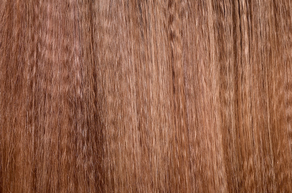 Haute Kinky Straight