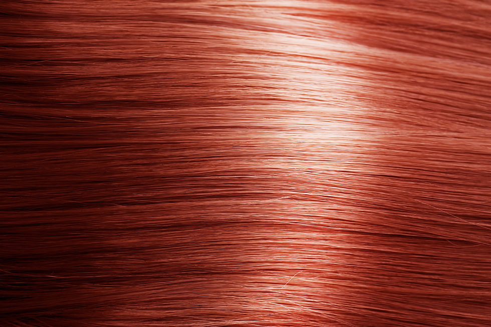 Haute Straight