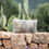 Thumbnail: Coussin en lin sérigraphié cactus
