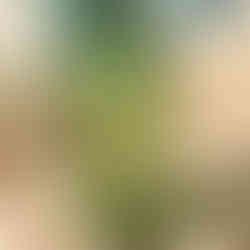 Vase vert en verre recyclé