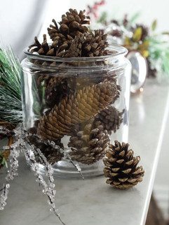 pommes de pin dans vase en verre