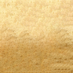 gold background2.png
